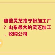 破壁灵芝孢子粉加工厂？山东最大的灵芝加工，收购公司