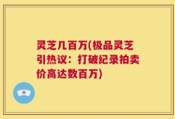 灵芝几百万(极品灵芝引热议：打破纪录拍卖价高达数百万)