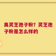 臭灵芝孢子粉？灵芝孢子粉是怎么样的