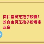 同仁堂灵芝孢子胶囊？长白山灵芝孢子粉哪家正宗