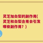灵芝加白梨的副作用(灵芝和白梨合用会引发哪些副作用？)