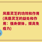凤凰灵芝的功效和作用(凤凰灵芝的益处和作用：强身健体，提高免疫力)