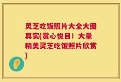 灵芝吃饭照片大全大图真实(赏心悦目！大量精美灵芝吃饭照片欣赏)