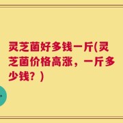 灵芝菌好多钱一斤(灵芝菌价格高涨，一斤多少钱？)