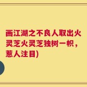 画江湖之不良人取出火灵芝火灵芝独树一帜，惹人注目)