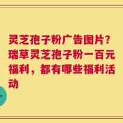 灵芝孢子粉广告图片？瑞草灵芝孢子粉一百元福利，都有哪些福利活动