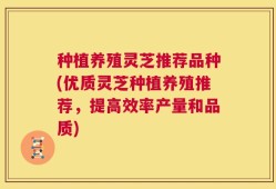 种植养殖灵芝推荐品种(优质灵芝种植养殖推荐，提高效率产量和品质)