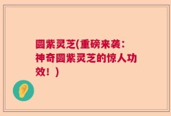 圆紫灵芝(重磅来袭：神奇圆紫灵芝的惊人功效！)