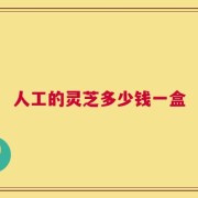 人工的灵芝多少钱一盒