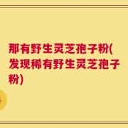 那有野生灵芝孢子粉(发现稀有野生灵芝孢子粉)