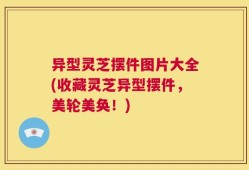 异型灵芝摆件图片大全(收藏灵芝异型摆件，美轮美奂！)