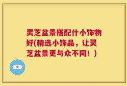 灵芝盆景搭配什小饰物好(精选小饰品，让灵芝盆景更与众不同！)