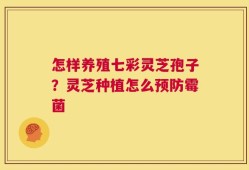 怎样养殖七彩灵芝孢子？灵芝种植怎么预防霉菌