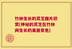 竹林生长的灵芝图片欣赏(神秘的灵芝在竹林间生长的美丽景色)