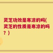 灵芝功效是寒凉的吗(灵芝的性质是寒凉的吗？)