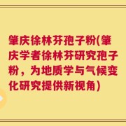 肇庆徐林芬孢子粉(肇庆学者徐林芬研究孢子粉，为地质学与气候变化研究提供新视角)