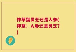 神草指灵芝还是人参(神草：人参还是灵芝？)