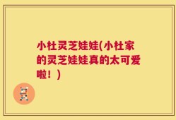 小杜灵芝娃娃(小杜家的灵芝娃娃真的太可爱啦！)