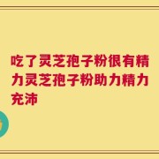 吃了灵芝孢子粉很有精力灵芝孢子粉助力精力充沛