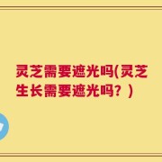 灵芝需要遮光吗(灵芝生长需要遮光吗？)