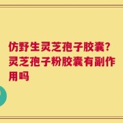 仿野生灵芝孢子胶囊？灵芝孢子粉胶囊有副作用吗
