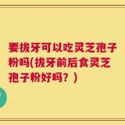 要拔牙可以吃灵芝孢子粉吗(拔牙前后食灵芝孢子粉好吗？)
