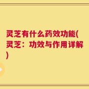 灵芝有什么药效功能(灵芝：功效与作用详解)