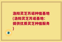 洛阳灵芝苏诺种植基地(洛阳灵芝苏诺基地：提供优质灵芝种植服务)