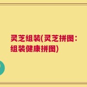 灵芝组装(灵芝拼图：组装健康拼图)