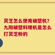 灵芝怎么使用破壁机？九阳破壁料理机是怎么打灵芝粉的
