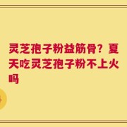 灵芝孢子粉益筋骨？夏天吃灵芝孢子粉不上火吗