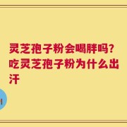 灵芝孢子粉会喝胖吗？吃灵芝孢子粉为什么出汗