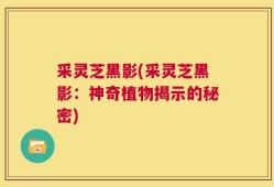 采灵芝黑影(采灵芝黑影：神奇植物揭示的秘密)