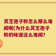 灵芝孢子粉怎么那么难闻呢(为什么灵芝孢子粉的味道这么难闻？