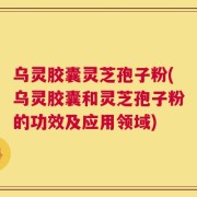 乌灵胶囊灵芝孢子粉(乌灵胶囊和灵芝孢子粉的功效及应用领域)