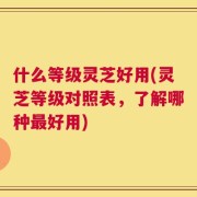什么等级灵芝好用(灵芝等级对照表，了解哪种最好用)