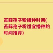 苔藓孢子粉播种时间(苔藓孢子粉适宜播种的时间推荐)
