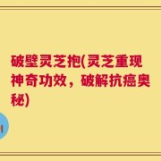 破壁灵芝抱(灵芝重现神奇功效，破解抗癌奥秘)