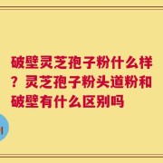 破壁灵芝孢子粉什么样？灵芝孢子粉头道粉和破壁有什么区别吗