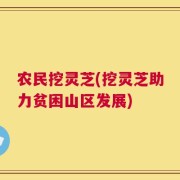 农民挖灵芝(挖灵芝助力贫困山区发展)
