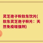 灵芝孢子粉敖东饮片(敖东灵芝孢子粉片：天然免疫增强剂)