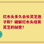 烂木头多久会长灵芝孢子粉？破解烂木头培育灵芝的秘密？