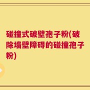 碰撞式破壁孢子粉(破除墙壁障碍的碰撞孢子粉)