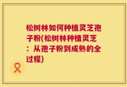 松树林如何种植灵芝孢子粉(松树林种植灵芝：从孢子粉到成熟的全过程)