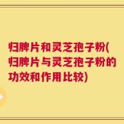 归脾片和灵芝孢子粉(归脾片与灵芝孢子粉的功效和作用比较)