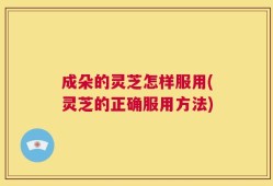 成朵的灵芝怎样服用(灵芝的正确服用方法)