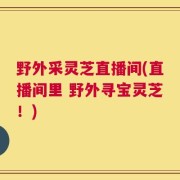 野外采灵芝直播间(直播间里 野外寻宝灵芝！)