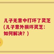 儿子无意中打坏了灵芝(儿子意外损坏灵芝：如何解决？)