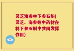 灵芝海参林下参石斛(灵芝、海参等中药材在林下参石斛中共同发挥作用)