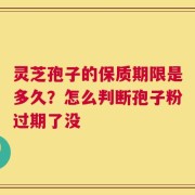 灵芝孢子的保质期限是多久？怎么判断孢子粉过期了没